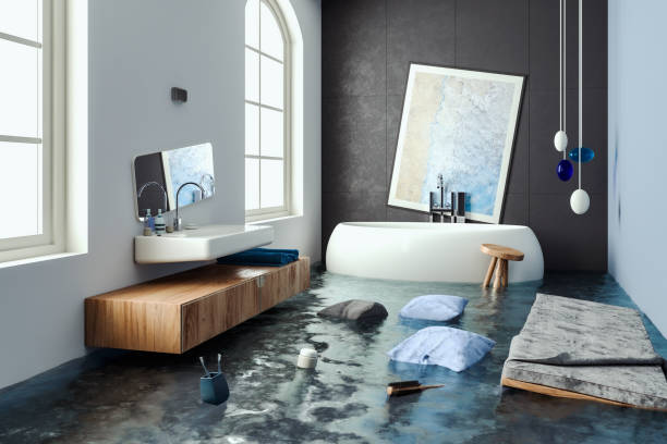 Best Water damage restoration near me  in Maple Heights Lake Desire, WA