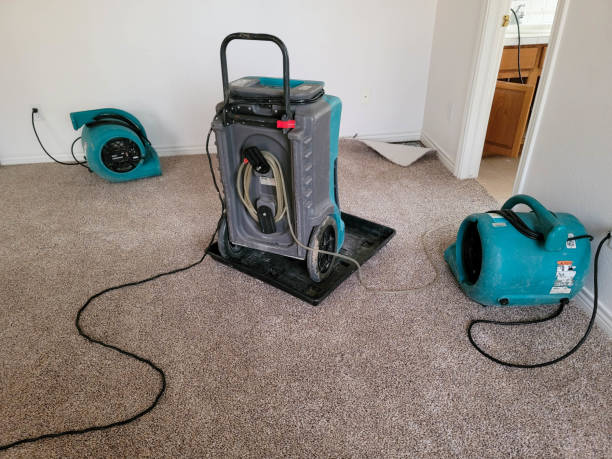 Best Local water damage restoration  in Maple Heights Lake Desire, WA
