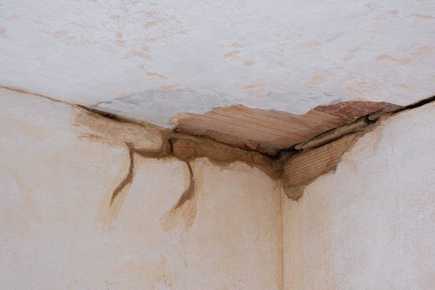 Trusted Maple Heights Lake Desire, WA Water damage restoration Experts