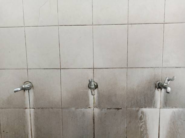 Best Flooded house restoration  in Maple Heights Lake Desire, WA