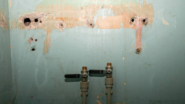 Best 24/7 water damage repair  in Maple Heights Lake Desire, WA