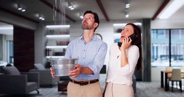 Best Ceiling water damage repair  in Maple Heights Lake Desire, WA