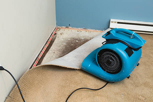 Best Commercial water damage restoration  in Maple Heights Lake Desire, WA